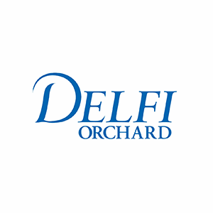 Delfi logo